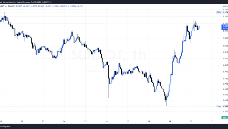 Sui Price Eyes New All-Time High as Crypto Markets Surge in November 2024