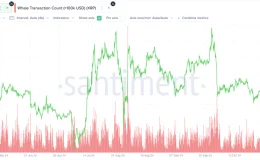 Ripple’s 900 Million XRP Unlock Spurs Market Buzz Amid Legal Developments