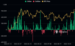 Michael Saylor Sparks Controversy Over Bitcoin Custody Views